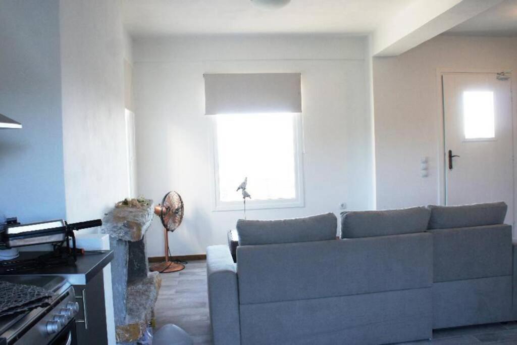 Vila Starryhouse Fotimárion Exteriér fotografie